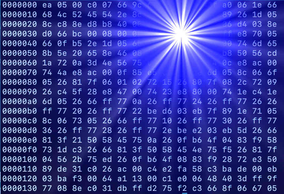 Expert Witness Services